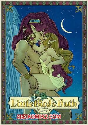 Порно комикс Legend of Zelda. Купальня маленькой птички. Little Birds Bath. WintonKidd Порно комикс Legend of Zelda. Купальня маленькой птички. Little Birds Bath. WintonKidd