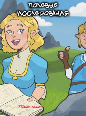 Порно комикс The Legend of Zelda. Полевые исследования. Field Research. Pepperonniart.